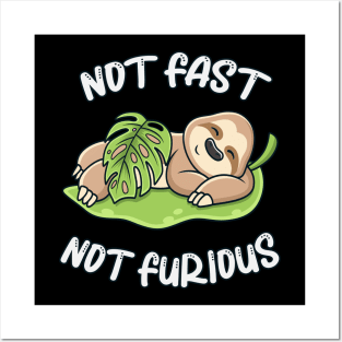 Cute Sloth Sleeping Not Fast Not Furious Funny Posters and Art